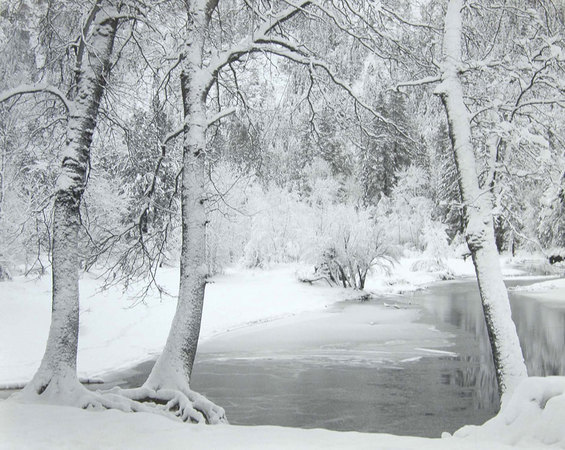 Merced River, Yosemite, 1990