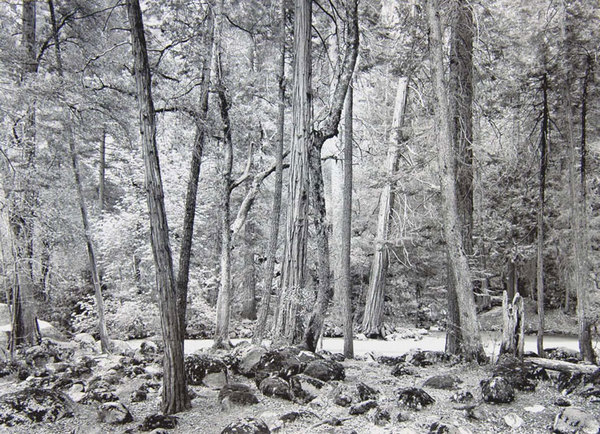 Happy Isles, Yosemite, 1983