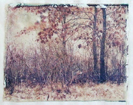 Autumn, Yosemite Valley (Poloaroid transfer), 1977