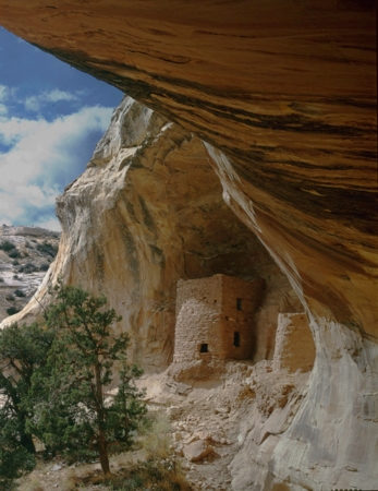 Anasazi Site, 1996