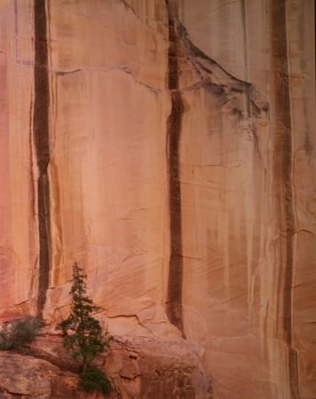 Long Canyon, Utah, 1989