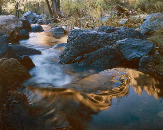 Left Fork of North Creek, Zion National Park, 1998