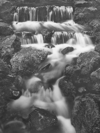 Fern Springs, Yosemite Valley, 2004