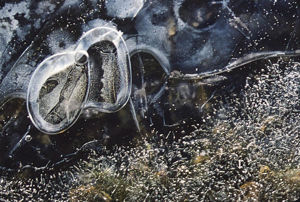 Ice Series, Yosemite, 1975